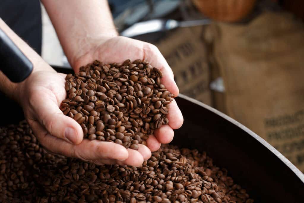 What is Organic Coffee? A Deep Dive into Nature's Brew 2