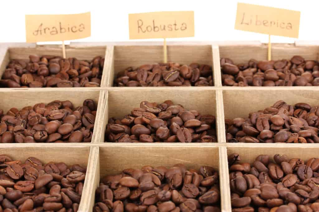 Tipos de granos de café: una guía para los amantes del café 4